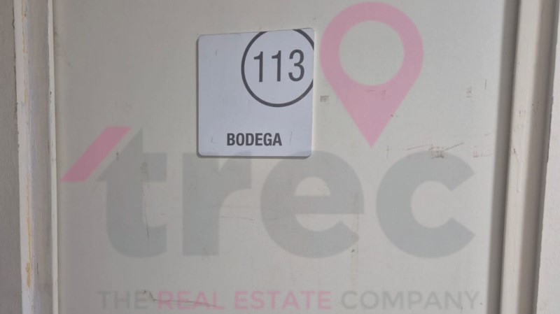 CANTA GALLO... CANTA GALLO...